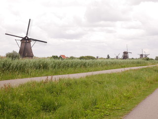 風車@オランダ