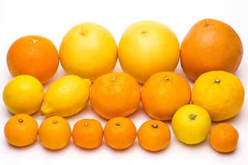 白背景の色々な種類の柑橘類