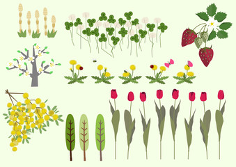 ミモザの花と春の植物。春のイメージ。イラスト素材集。
