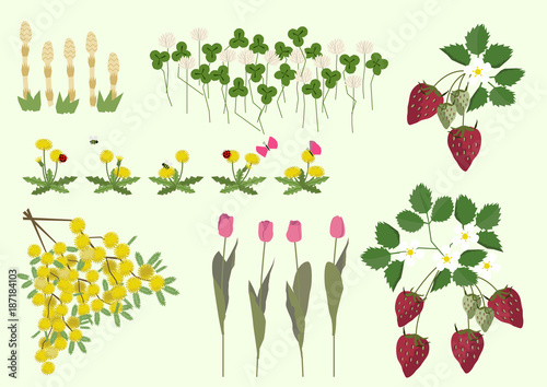 ミモザの花と春の植物 春のイメージ イラスト素材集 Beauty Wall Mural Beau Tomoko Arakawa