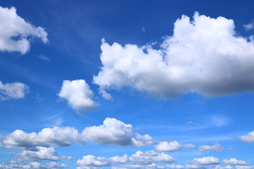 Fototapeta premium blue sky with Cumulus clouds