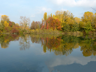 Fototapeta na wymiar Autumn in the ponds of the Torbiere at the border of Lake Iseo in Brescia