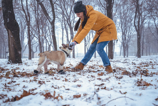 woman playing with french bulldog