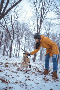 woman playing with french bulldog