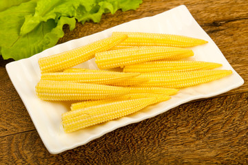 Young baby corn