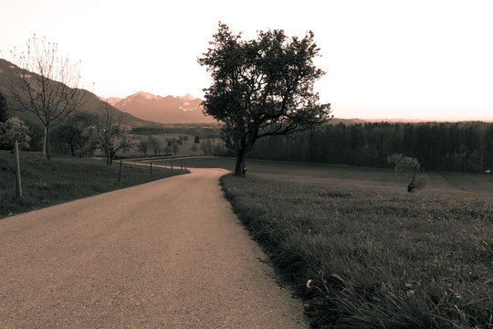Bavarian Landscape