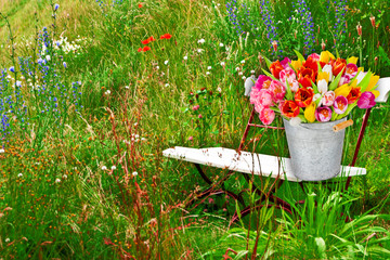 Frühlingswiese mit Sitzbank und Blumenstrauß