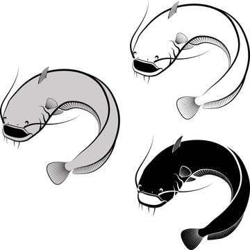 Isolated Catfish - Clip Art Illustration