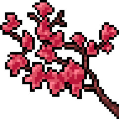 vector pixel art sakura branch