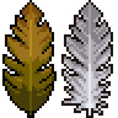 vector pixel art leaf feather