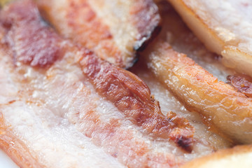 fried bacon slices macro