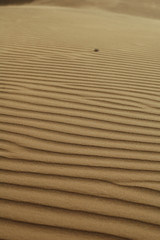 Sanddüne mit Rillen im Sand, kleiner Stein in Sanddüne
