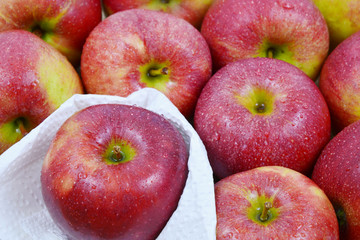close up from many fresh apples