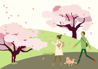 Obraz na płótnie Canvas 犬散歩をするカップル。満開の桜の花。春の季節。