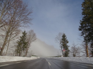 Nebel auf der Straße

