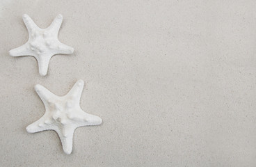 Fototapeta na wymiar Seashells and starfish border