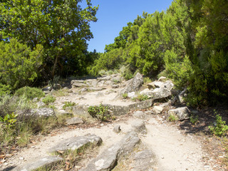inland areas with Mediterranean vegetation