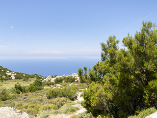 Fototapeta na wymiar inland areas with Mediterranean vegetation