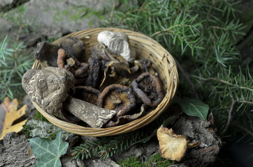 dried mushrooms 
