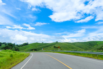 Country road passing through a field on which grow corn