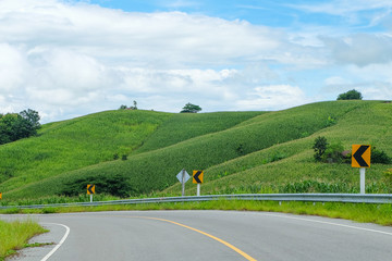 Country road passing through a field on which grow corn