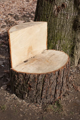 stool in the form of a chair