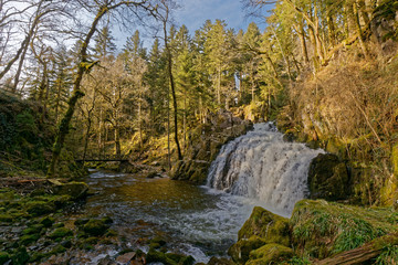 Cascade des Vosges