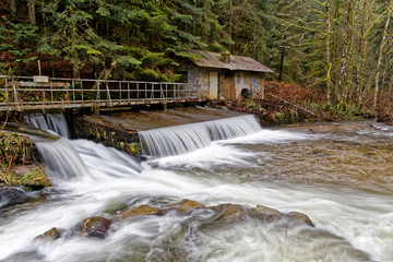 Barrage sur le ruisseau