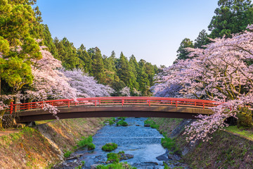 Fototapeta Spring in Japan obraz