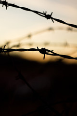 Fototapeta na wymiar Sunset behind barbed wire, military space.