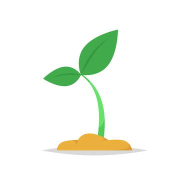 green sprout growing from soil clip art preview