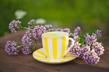 delicious  oregano tea in a beautiful glass bowl on table