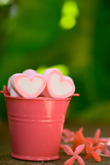 Bucket of pink and white heart shape marshmallows near with Ixora flowers on the wooden board with green background concept idea for Valentine’s day, love, romantic and relationship.