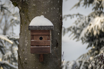 Snow covered bird house in winter