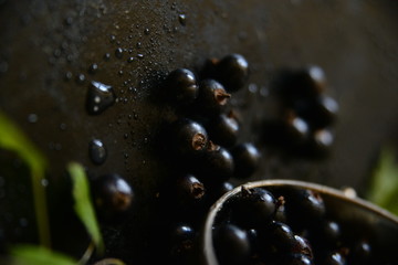 Black currant on wooden table with leaf sprig