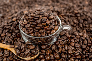 coffee beans background