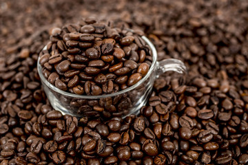 coffee beans background