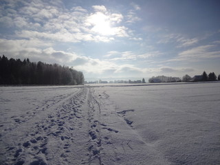 Schneelandschaft