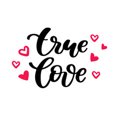 Valentine s Day vector lettering . Isolated handwriting calligra