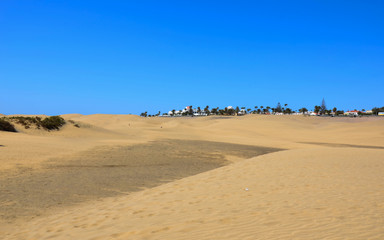 Fototapeta na wymiar Coastline with sand dunes of Maspalomas. Gran Canaria, Canary Islands