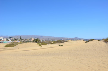 Coastline with sand dunes of Maspalomas. Gran Canaria, Canary Islands