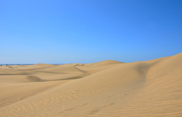 Fototapeta na wymiar Coastline with sand dunes of Maspalomas. Gran Canaria, Canary Islands
