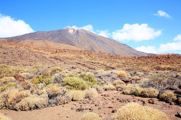 El Teide Volcano National Park on Tenerife Island, Canary Islands, Spain