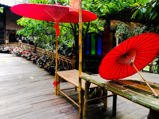 Northern Thailand  litter