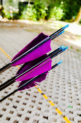 Archery Dart