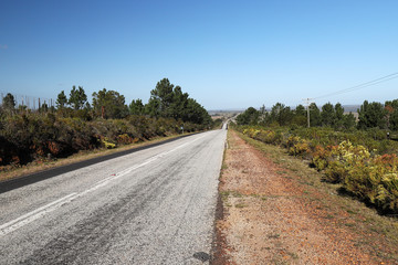 Fototapeta na wymiar On the Road, Garden Route, South Africa