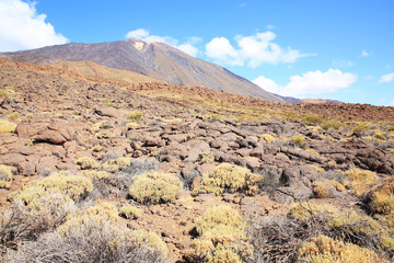 El Teide Volcano National Park on Tenerife Island, Canary Island, Spain, Unesco World Heritage