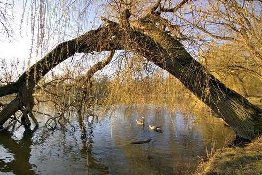 Ostpark in Frankfurt am Main