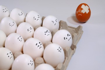 One different color egg between all white eggs