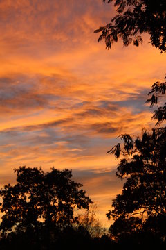 Beautiful Autumn Sunset 